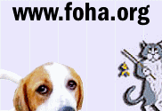 www.foha.org