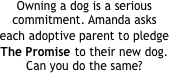 Owning a dog is a